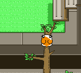 screenshots/Game Boy Color/Hamtaro - Ham-Hams Unite!/Hamtaro - Ham-Hams Unite! (Eng) 019.png